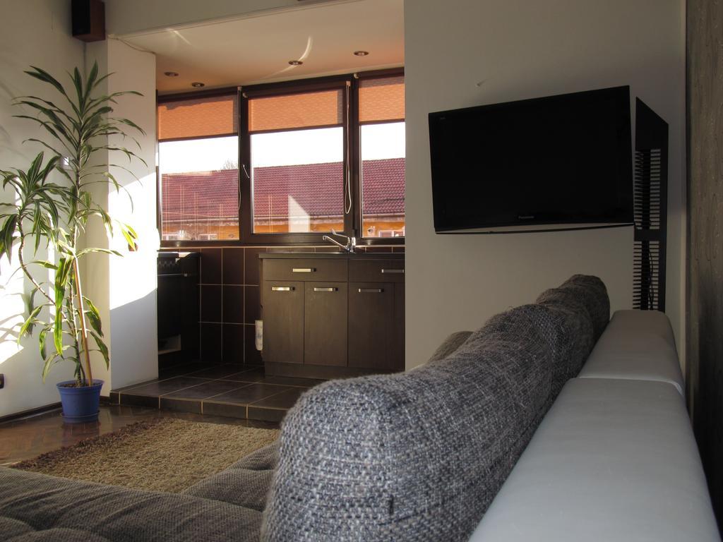 Comfort Home Apartment 2 Petroszany Zewnętrze zdjęcie