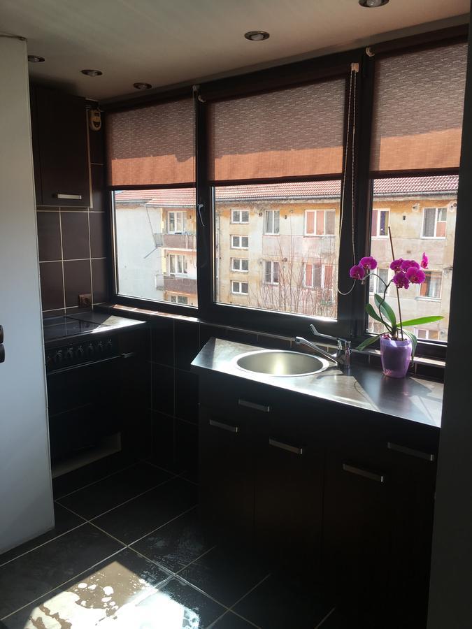 Comfort Home Apartment 2 Petroszany Zewnętrze zdjęcie
